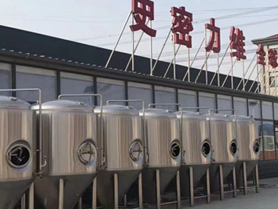 掇刀精酿啤酒设备厂—市场规模与跨界新需求